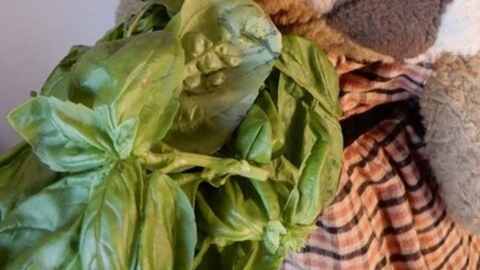 ジャーダのイタリアンクッキング
