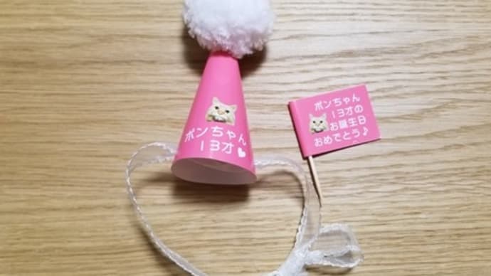 ポンちゃん 13歳の誕生日💛
