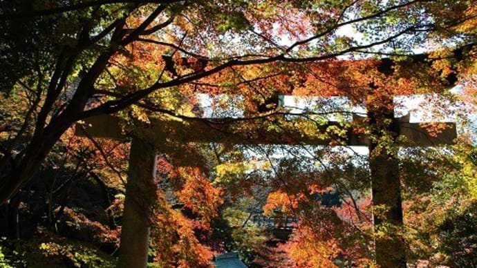 胡宮神社の紅葉