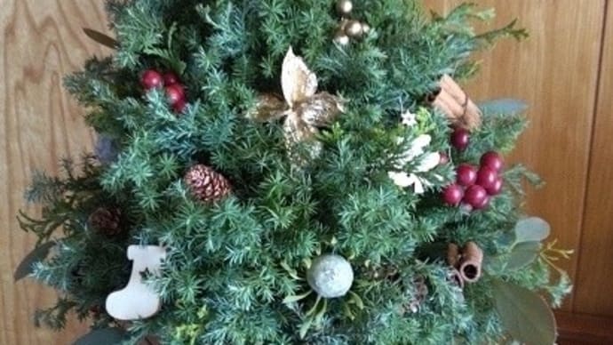 今日の午前中は、フラワーデザイン教室で、クリスマスツリー作りでした~~!