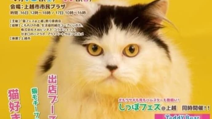 猫フェス