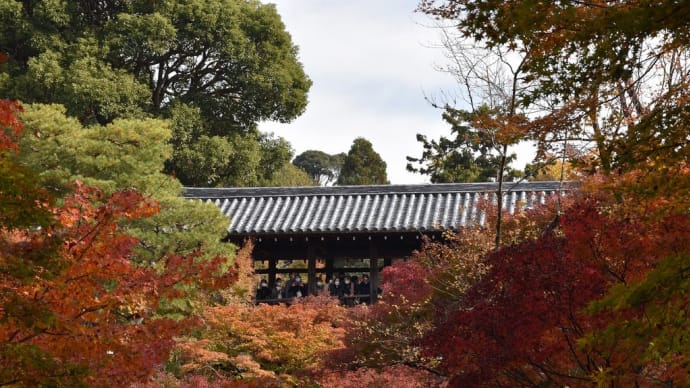 もみじ狩り 京都府東山区 紅葉名所めぐり1日目(4)大本山東福寺 通天橋庭園から臥雲橋と通天橋