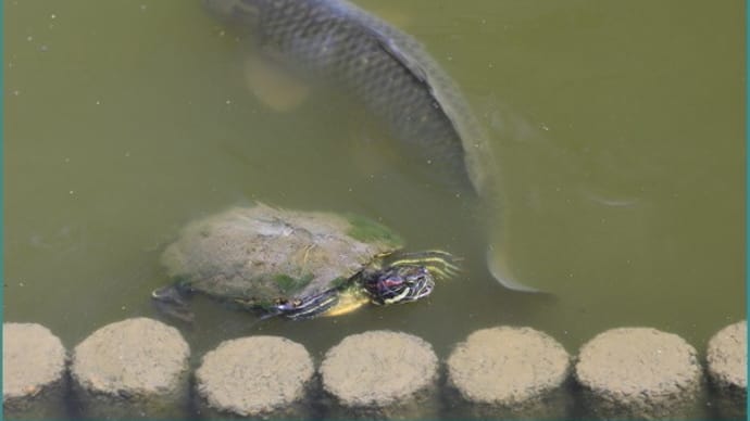 小満