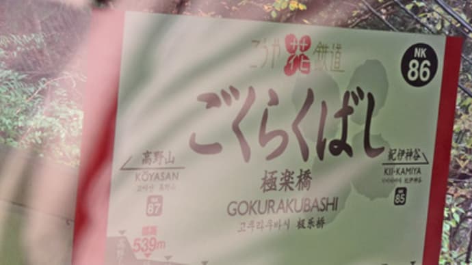 高野山行ってきました