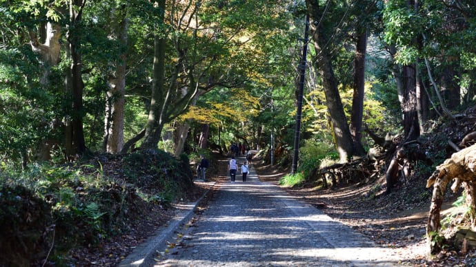 東京のお山に登る 1.高尾山口