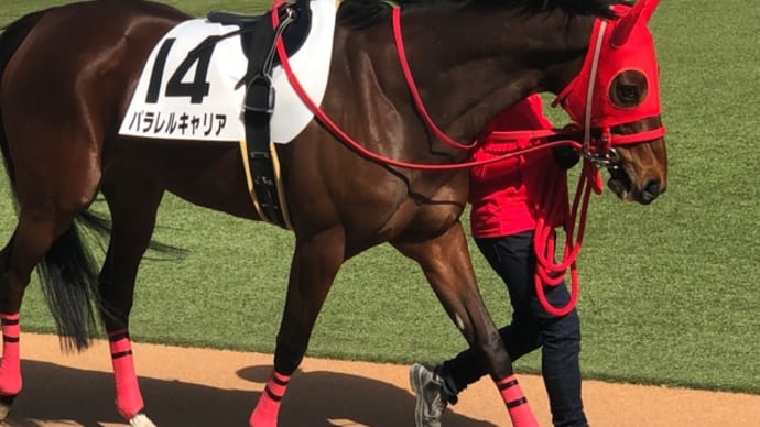 パラレルキャリア、続戦あるか!?の3着惜敗