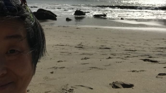 カリフォルニアで 遊ぼう