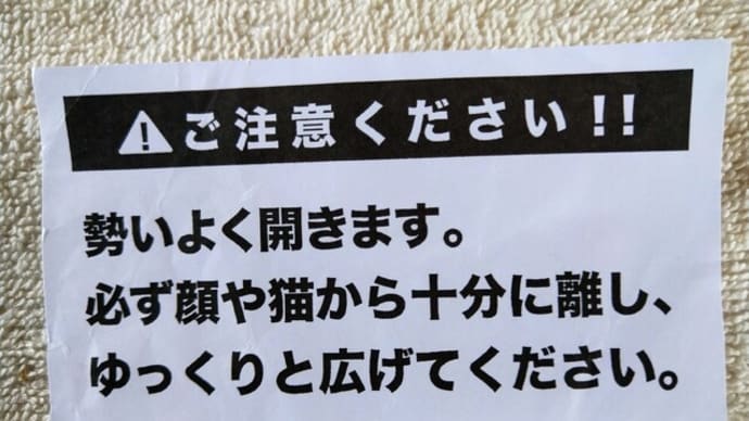 『ねこのきもち』の付録で豪華な設備になってきた
