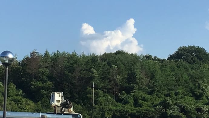 ネコ雲