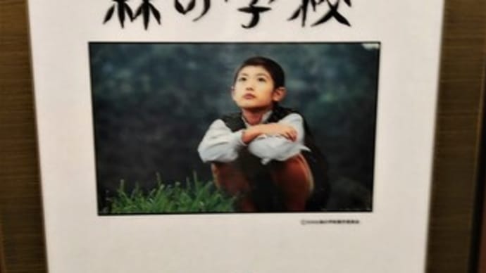 Le café oursblanc 362 森の学校&天外者&福徳神社&嵐の木