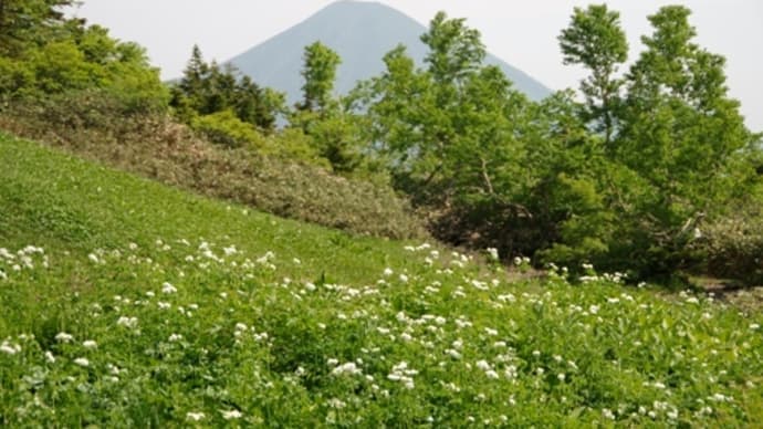 2024年6月22日 南八甲田 櫛ヶ峯① 猿倉から一ノ沢