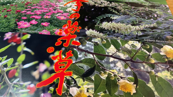 薬草カレンダー📅