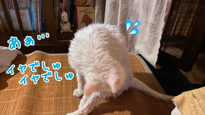 そんなわけないやろ