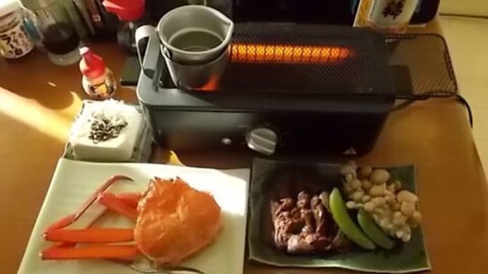 ゴールデンに親友が出たYO(=゚ω゚)ノ