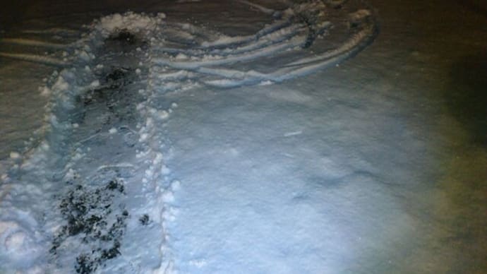 郡山も雪が降り続きました。
