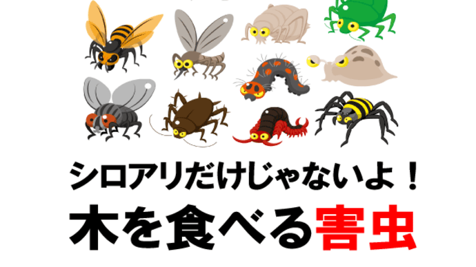 【害虫対策】シロアリだけじゃない！木の家に住んで出てくる虫たち