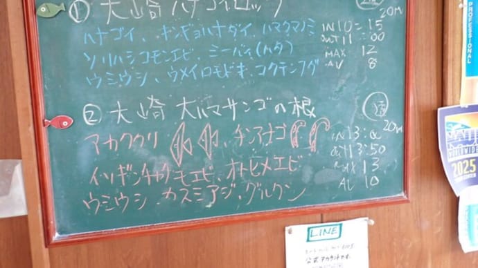 20250605ダイビングログ
