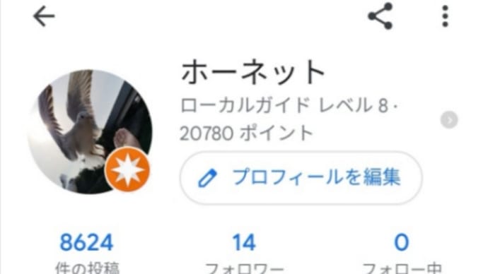 片手間で始めた事ですが