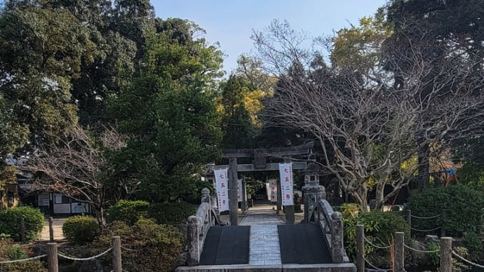 穏やかな休日