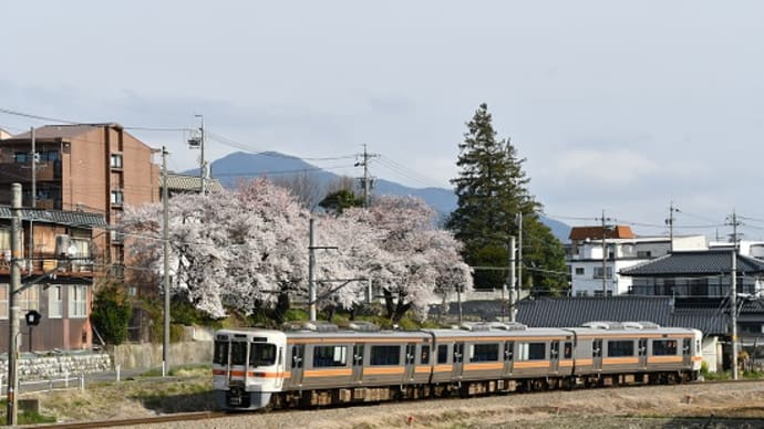 4月12日撮影 飯田線は伊那松島駅近くの桜と絡めて