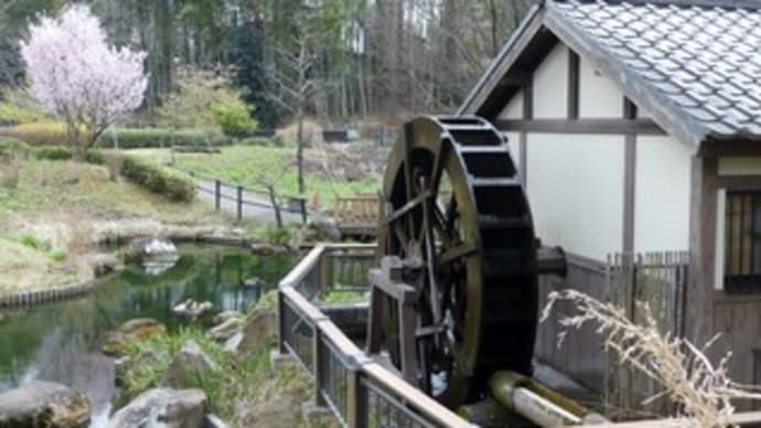 春の里山2021 ~多摩の親水公園~