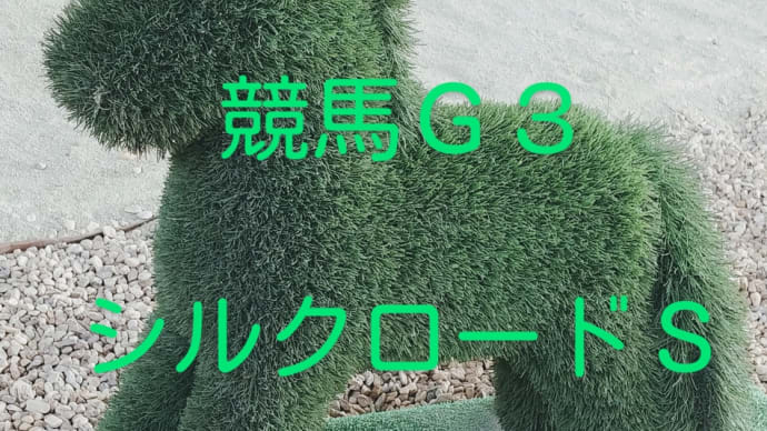 競馬G3 シルクロードステークス 狙ってみたい馬
