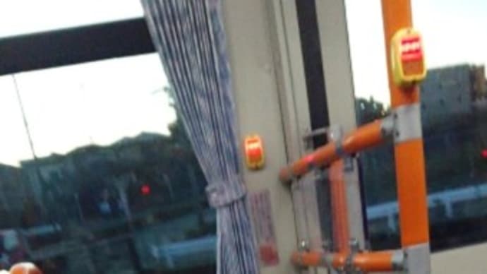 みかん