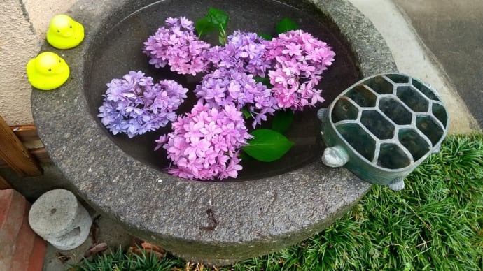 花手水(はなちょうず)