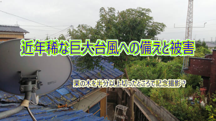 近年稀な巨大台風への備えと被害