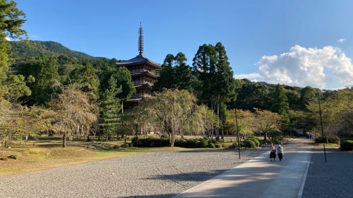 俳句 秋の朝
