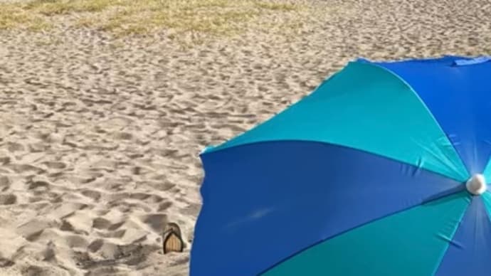 ありがとう砂浴