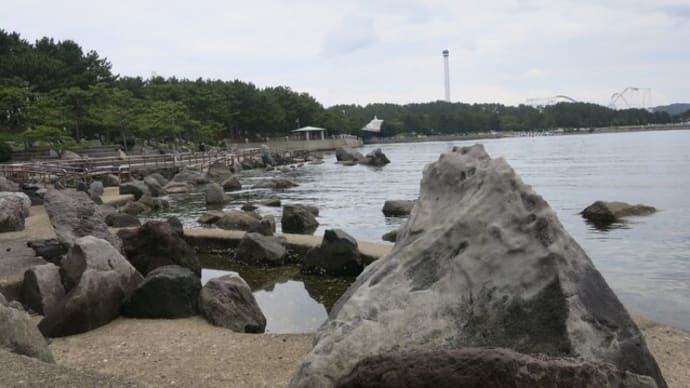 海の公園・野島公園散策