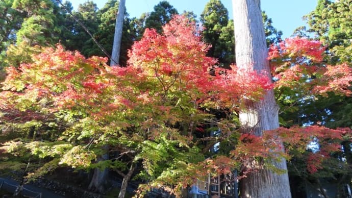 比叡山へ紅葉狩り