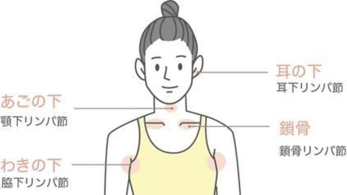 ハッシュタグ 図解 Goo Blog Gooブログ ハッシュタグ 図解 Goo Blog Gooブログ