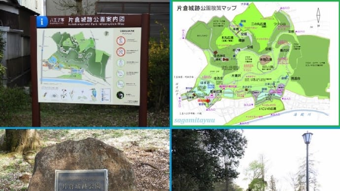 片倉のオアシス、カタクリ&桜の名所「片倉城跡公園」