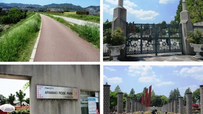 伊丹 荒牧バラ公園