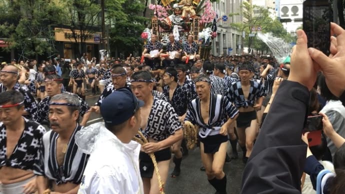本日お休みです