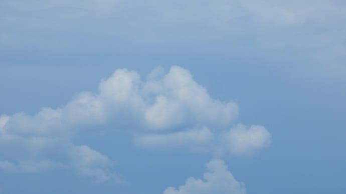 時間が止まってくれないから立ち止まれない