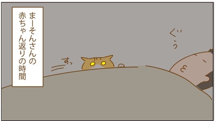 しと違い