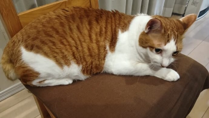 幸せな結末