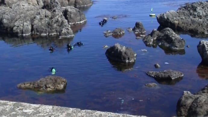 水温20度以上6月中旬の日本海でダイビングをした時の寒さは