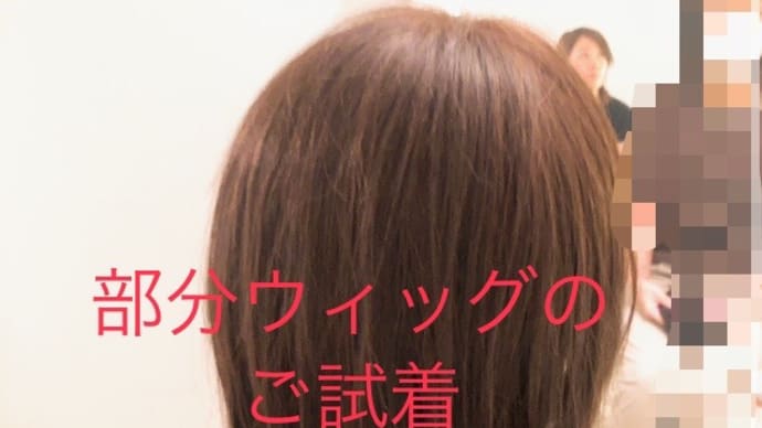 部分ウイッグの試着