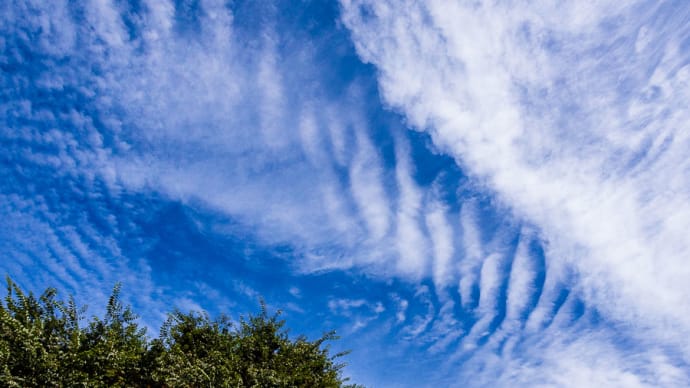 台風接近の前日に現れた雲、巻雲、波状雲など　2023年9月