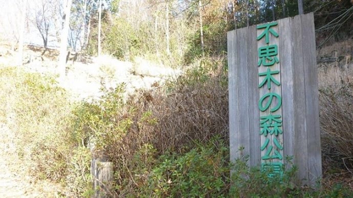 不思木の森と室生ダム(2014年)