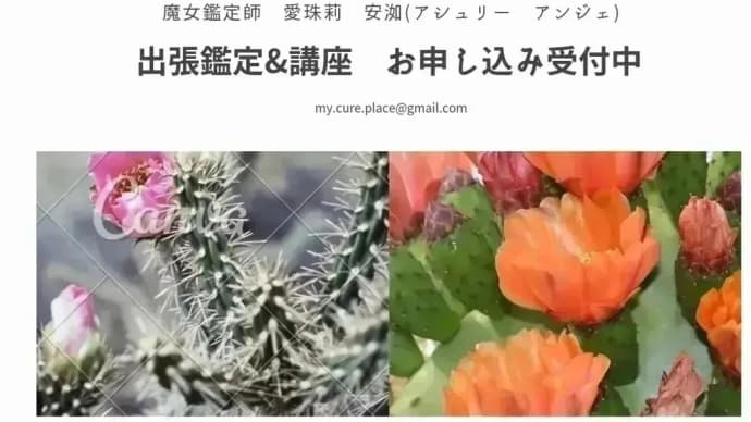 4月23日と24日のルノルマンカード講座も半額‼️
