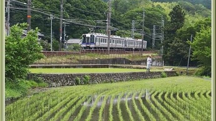 今日は撮り鉄(2022.06 No.11)