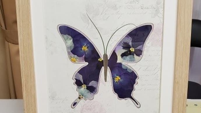押し花 バタフライ