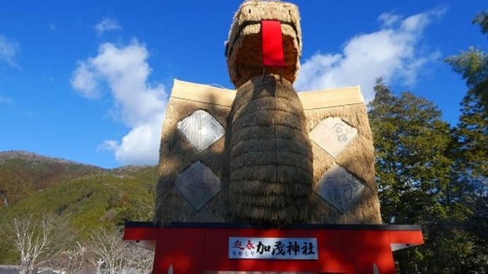 孫たちと 初詣 安志加茂神社
