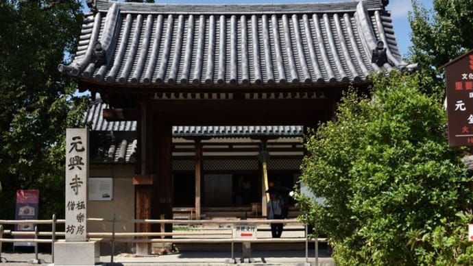 奈良町　元興寺の萩