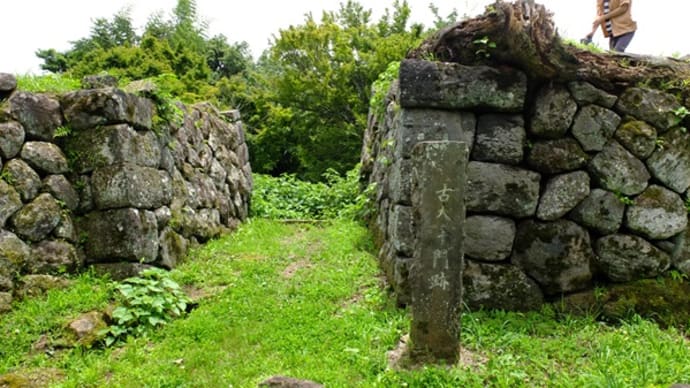岡城 夏 大手門‣古大手門